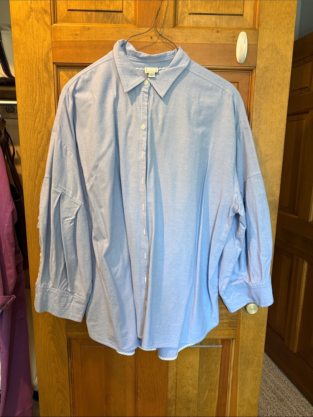 Maeve Women’s Pale Blue Button-Down Shirt